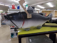 MAIL BOX.  Large rubbery cat fish.  Find in tools
$100.00